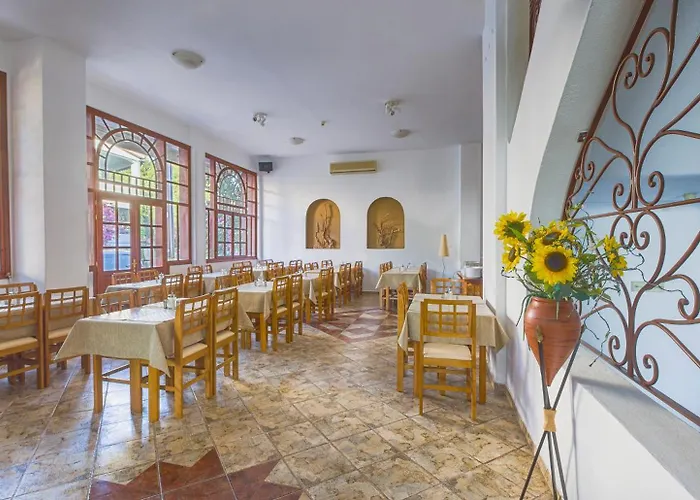 酒店 皮拉里迪斯酒店