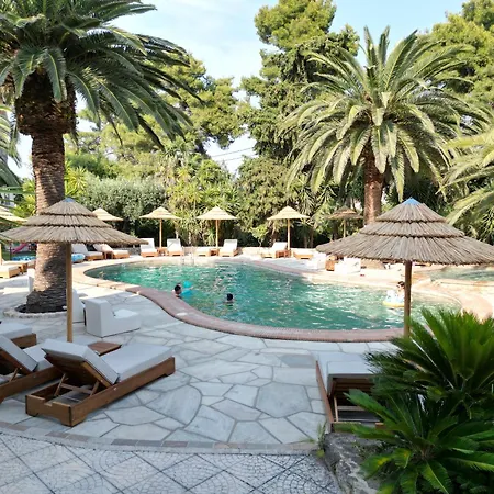 Pilalidis ペフコホリ