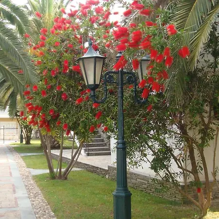 Pilalidis